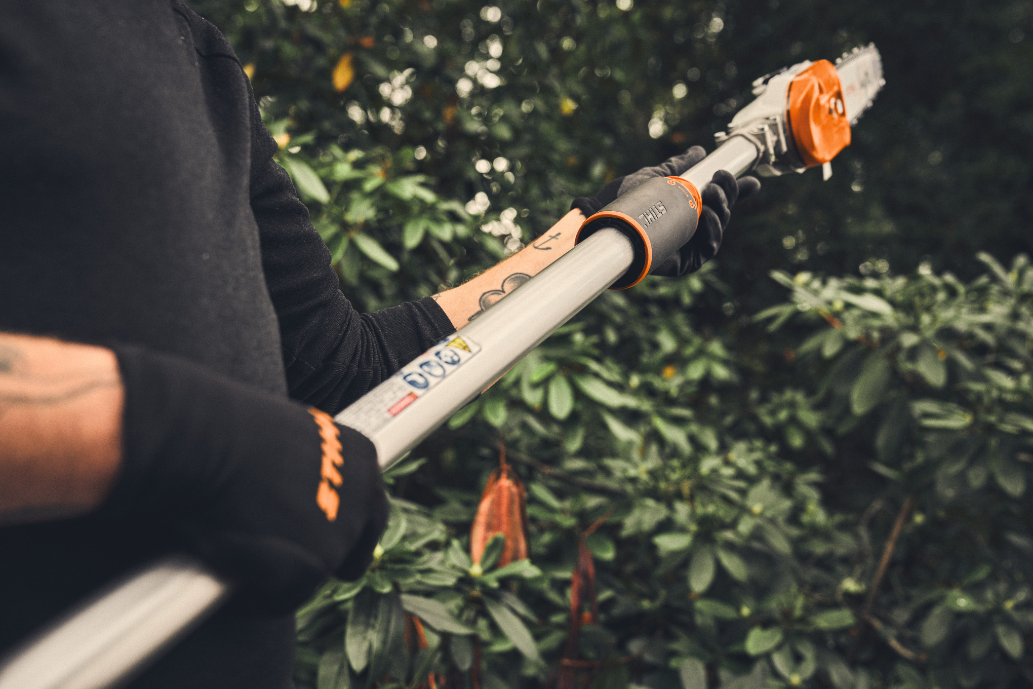 A view from behind of a person cutting a branch with the STIHL HTA 160 pole pruner