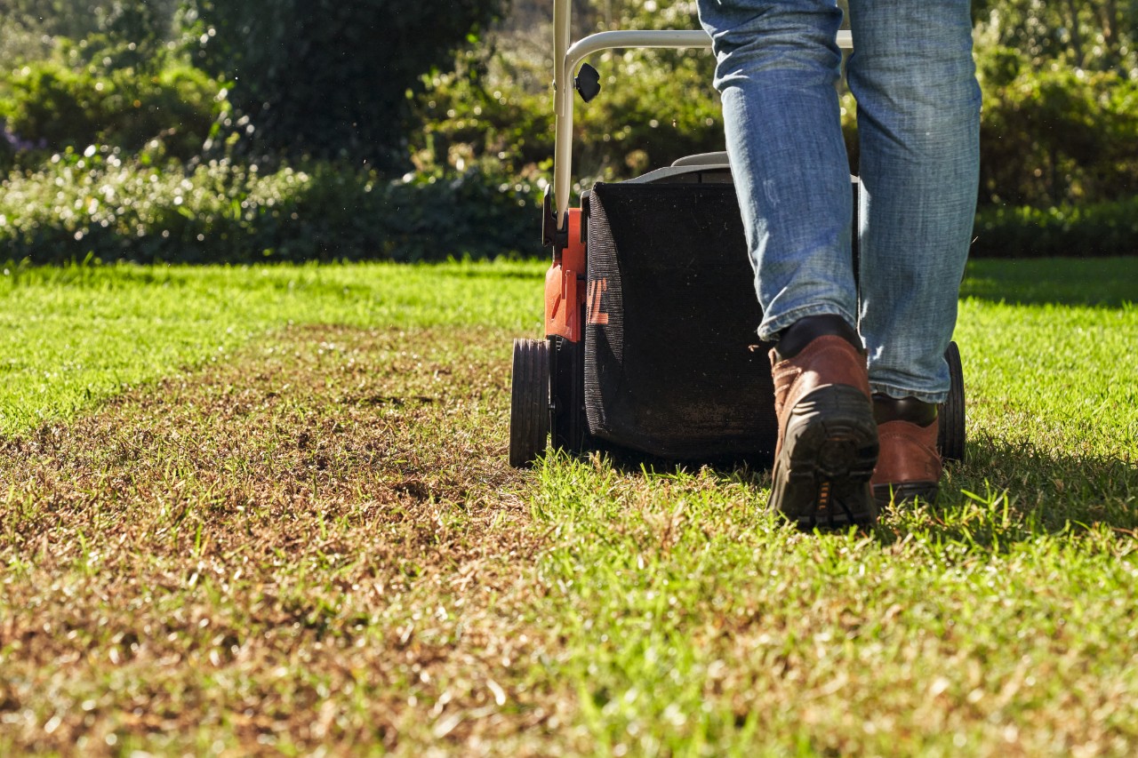 Lawn Ventilator and Scarifier
