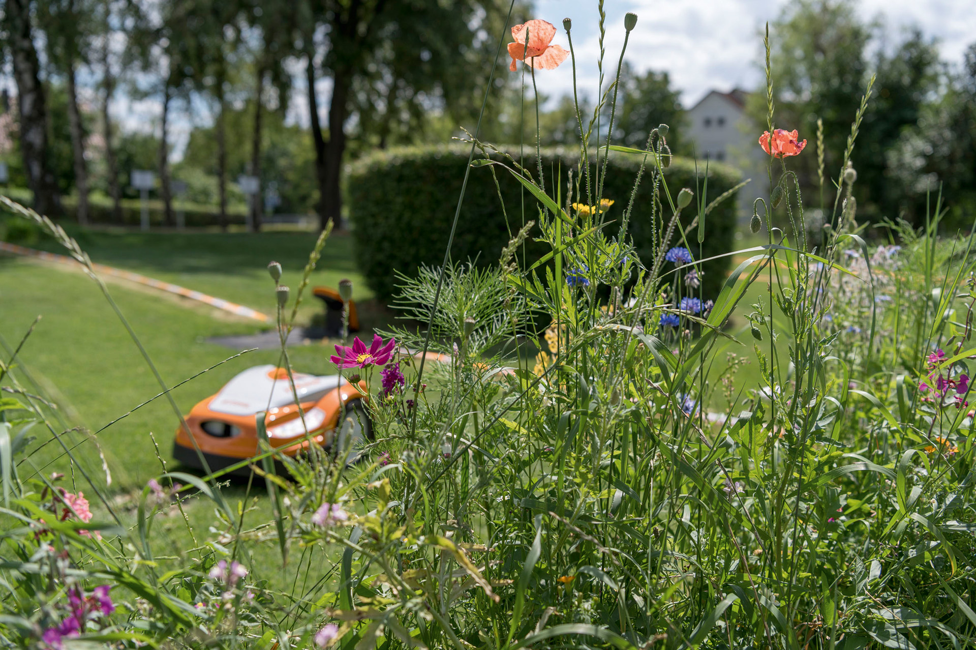 Colourful flowers in the foreground with the STIHL iMOW behind them in a large, well-kept garden