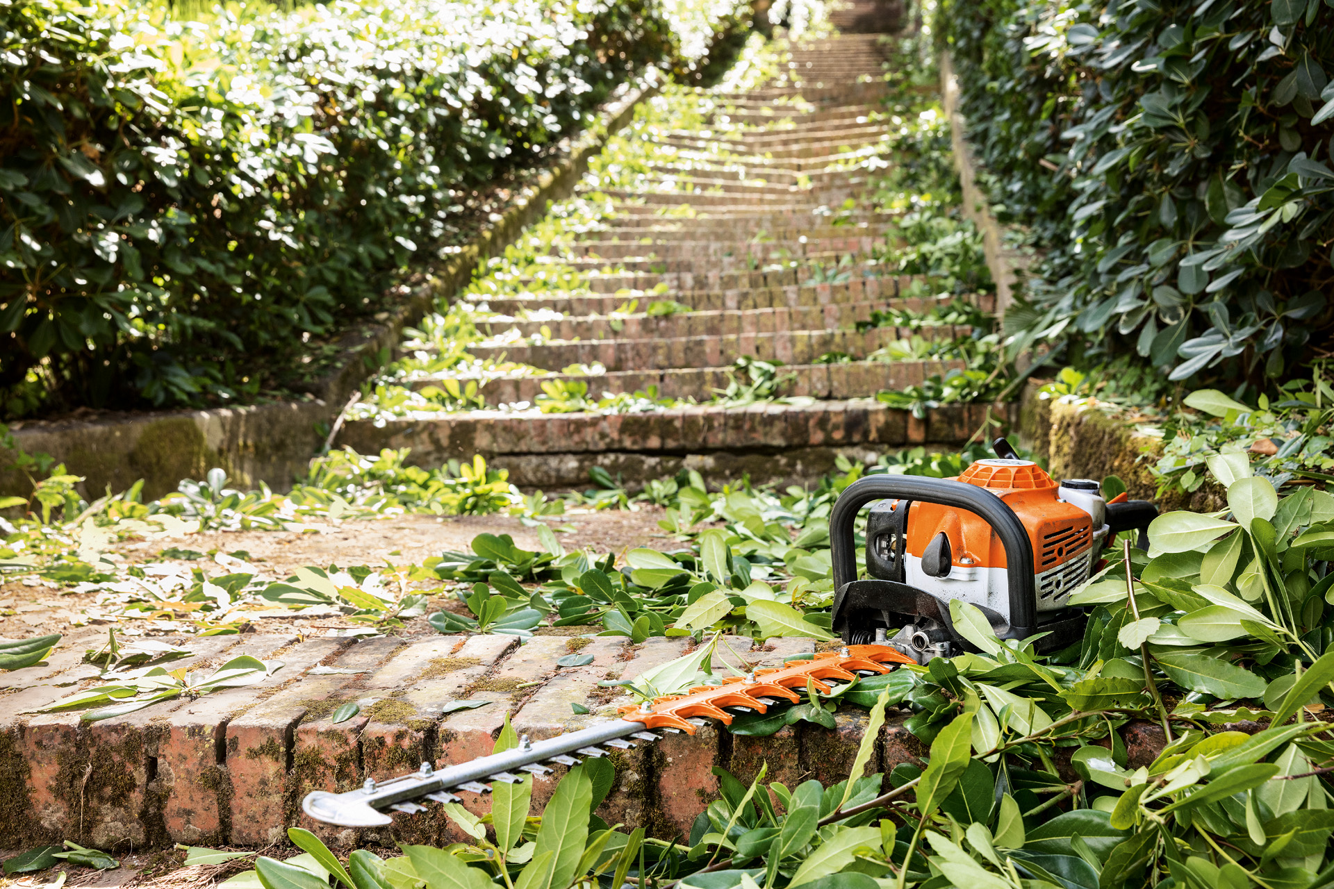 STIHL HS 82 T petrol hedge trimmer lying among green leaves on steps before maintenance