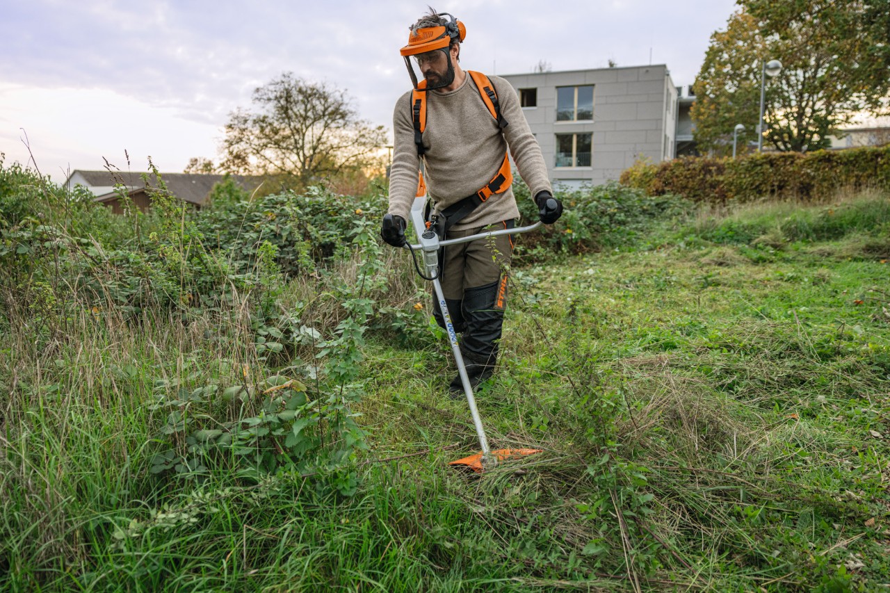 Close-up of someone cutting through a tree trunk with the STIHL MSA 300 cordless chainsaw