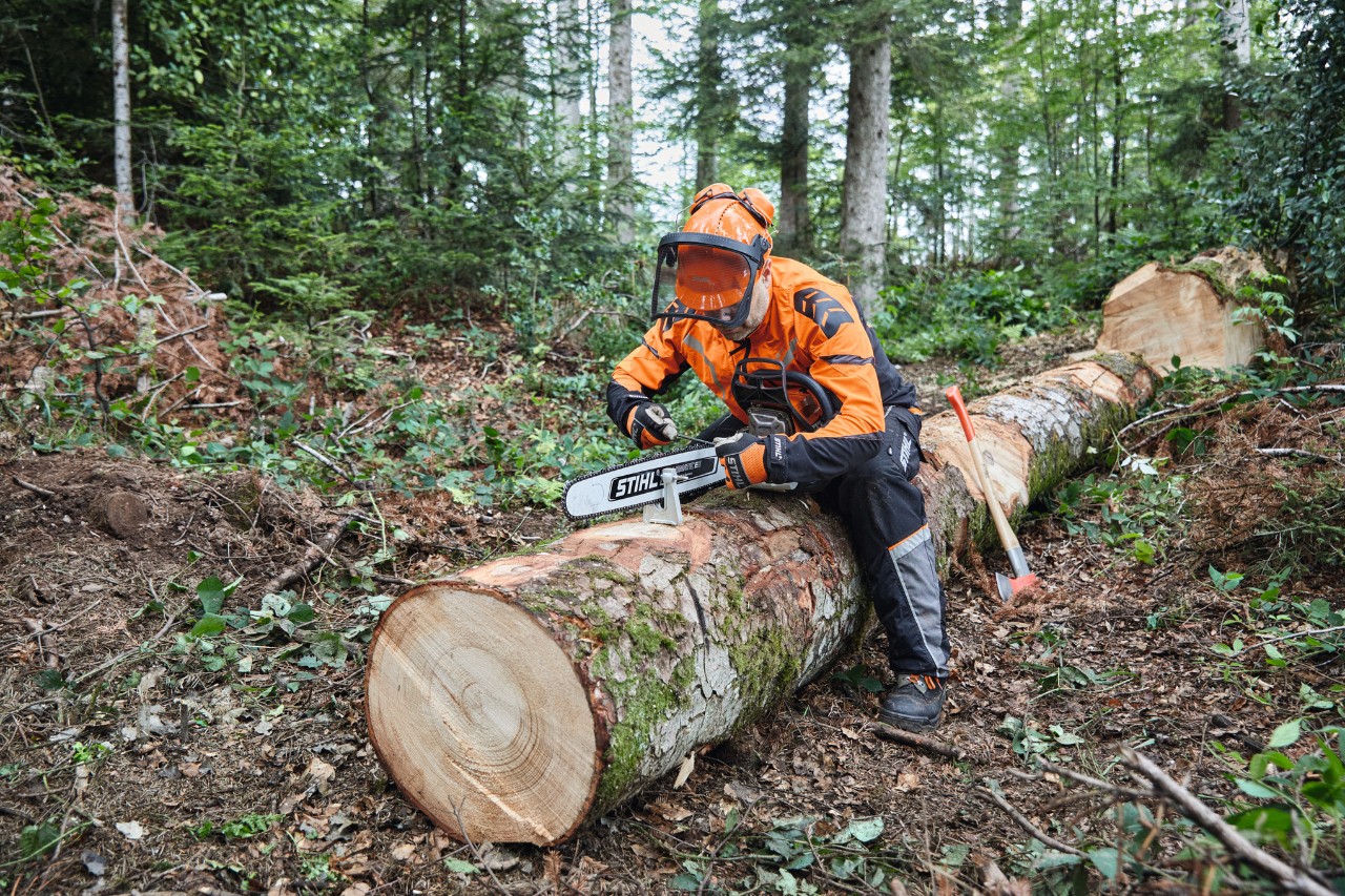 A man in protective equipment uses a STIHL chainsaw with a solid bar to cut up a tree that has already been felled