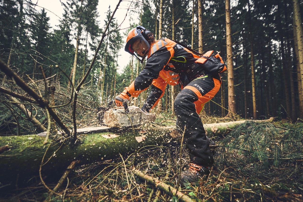 Forestry worker in full Forestry PPE using a STIHL MSA 300 battery chainsaw for delimbing