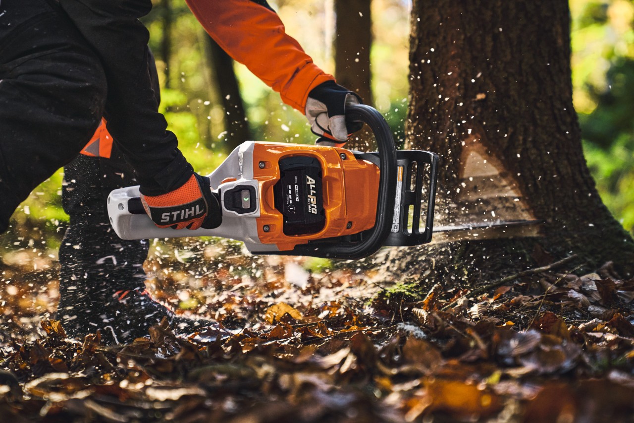 A professional woodworker fells trees in the forest with a STIHL MSA260 cordless chainsaw and an ALLPRO battery