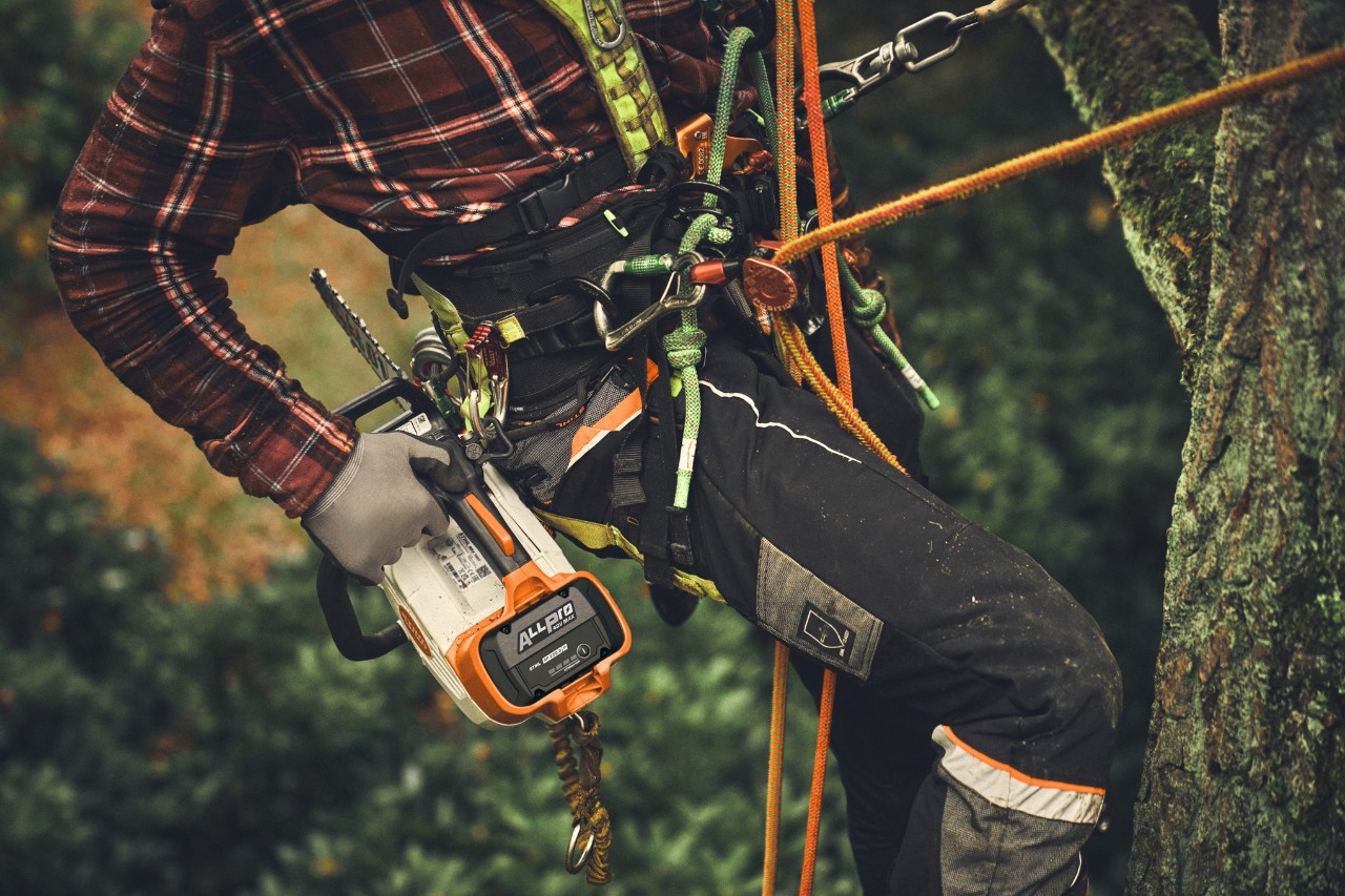 Close-up of a man climbing a tree with an ALLPRO battery in a STIHL MSA 190 T cordless chainsaw
