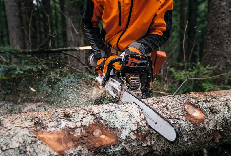 best-chainsaws-5