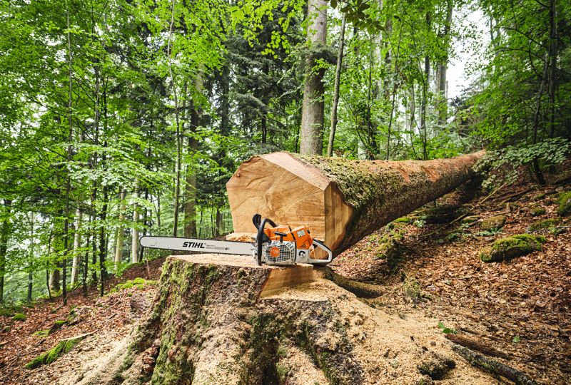 best-chainsaws-1