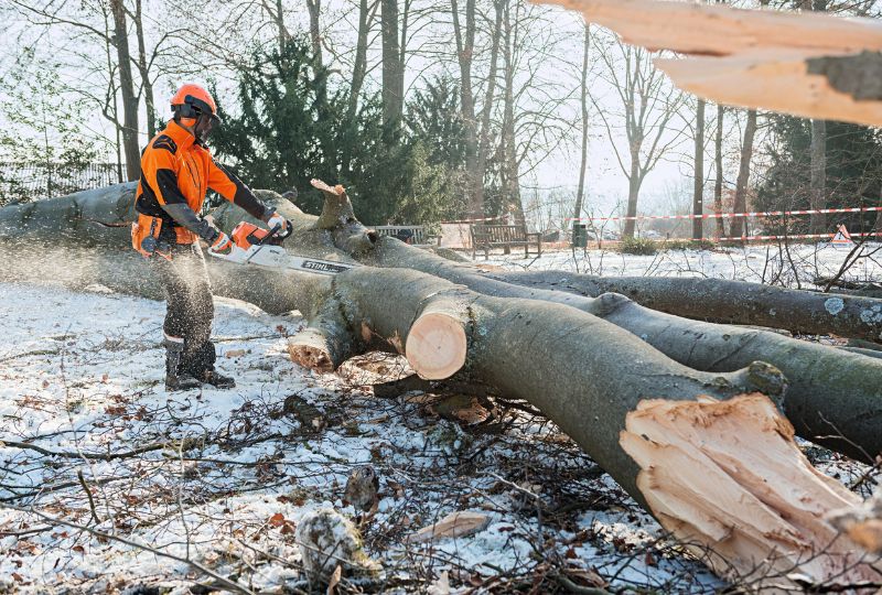 best-chainsaws-2