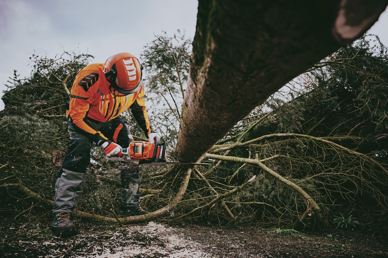 A forestry worker in STIHL protective clothing sawing wood in the forest with a STIHL chainsaw