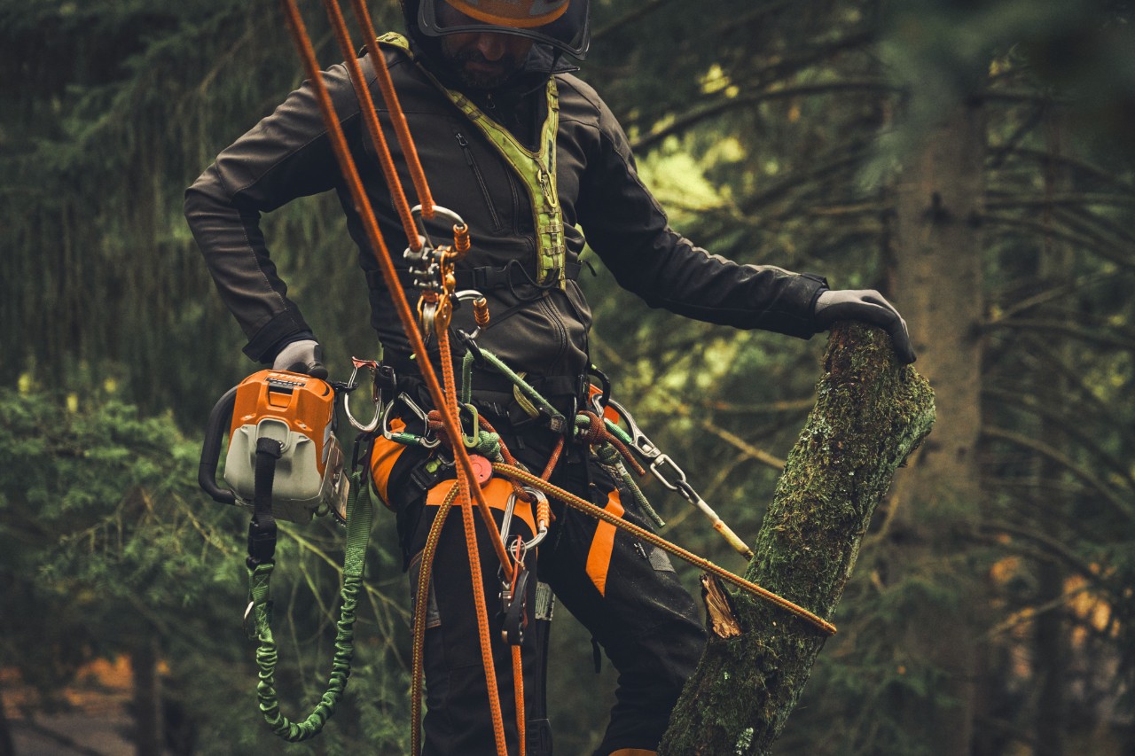 A man standing on a lifting platform sawing branches with a STIHL MSA 190 T battery chainsaw