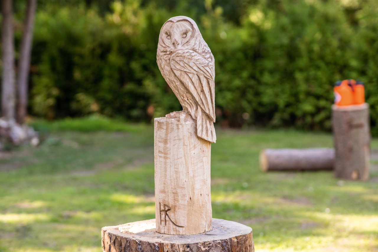 Carve your own wooden owl