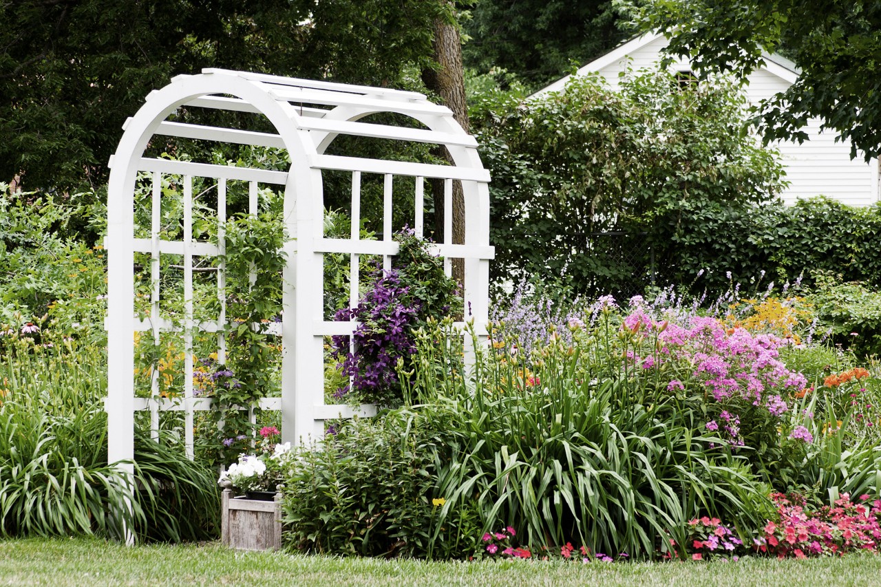 White plant support in a garden among plants with pink and purple flowers 
