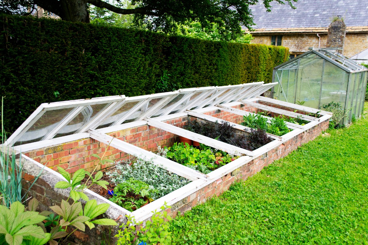 DIY cold frame in a garden