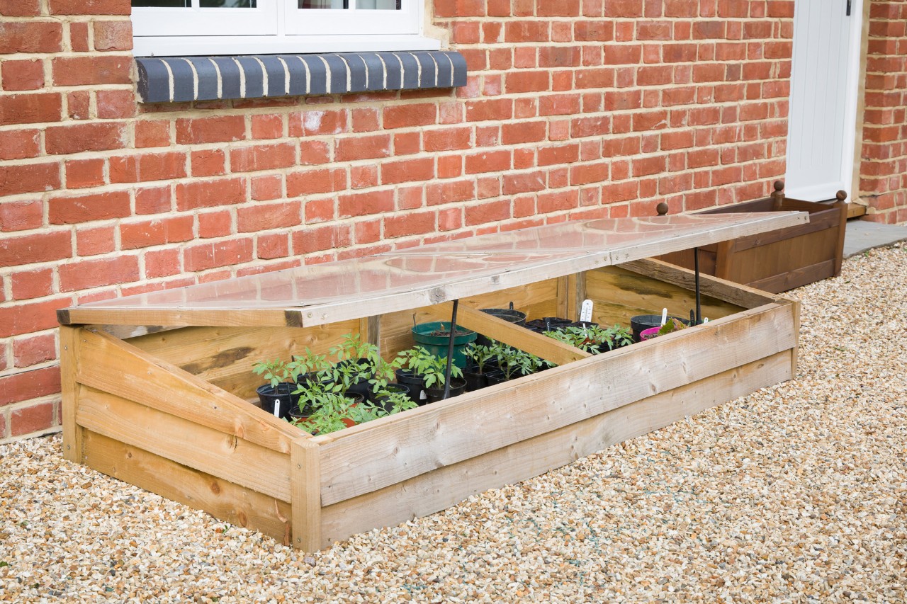 Wooden cold frame with plants