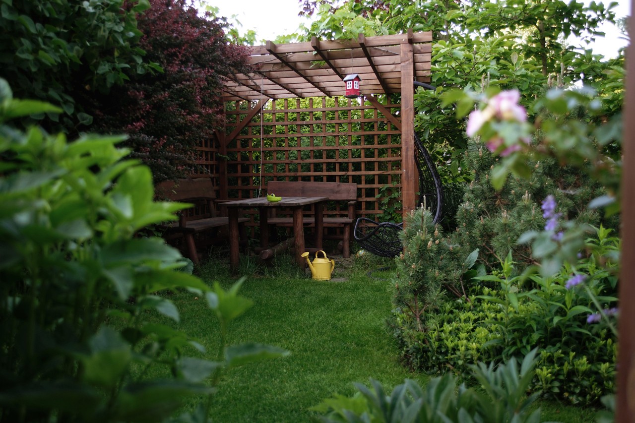 Wooden pergola as a plant support between green and flowering bushes in a garden