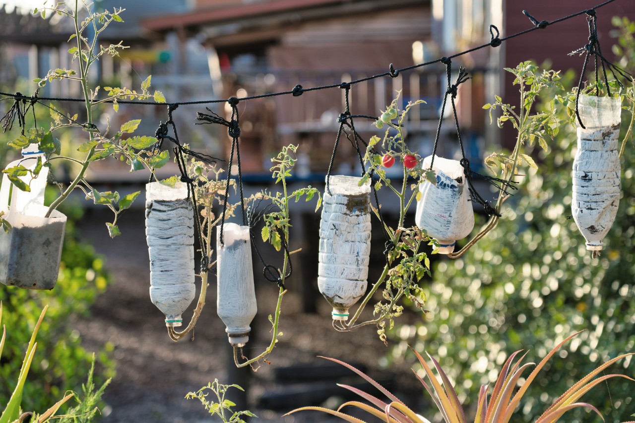 Upcycled support made from old plastic bottles on a piece of twine