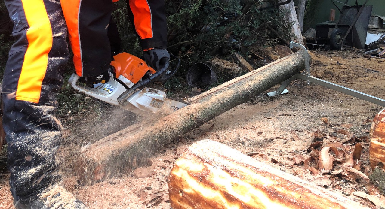 Build a raised bed from logs: a log secured in place on the ground is cut lengthwise