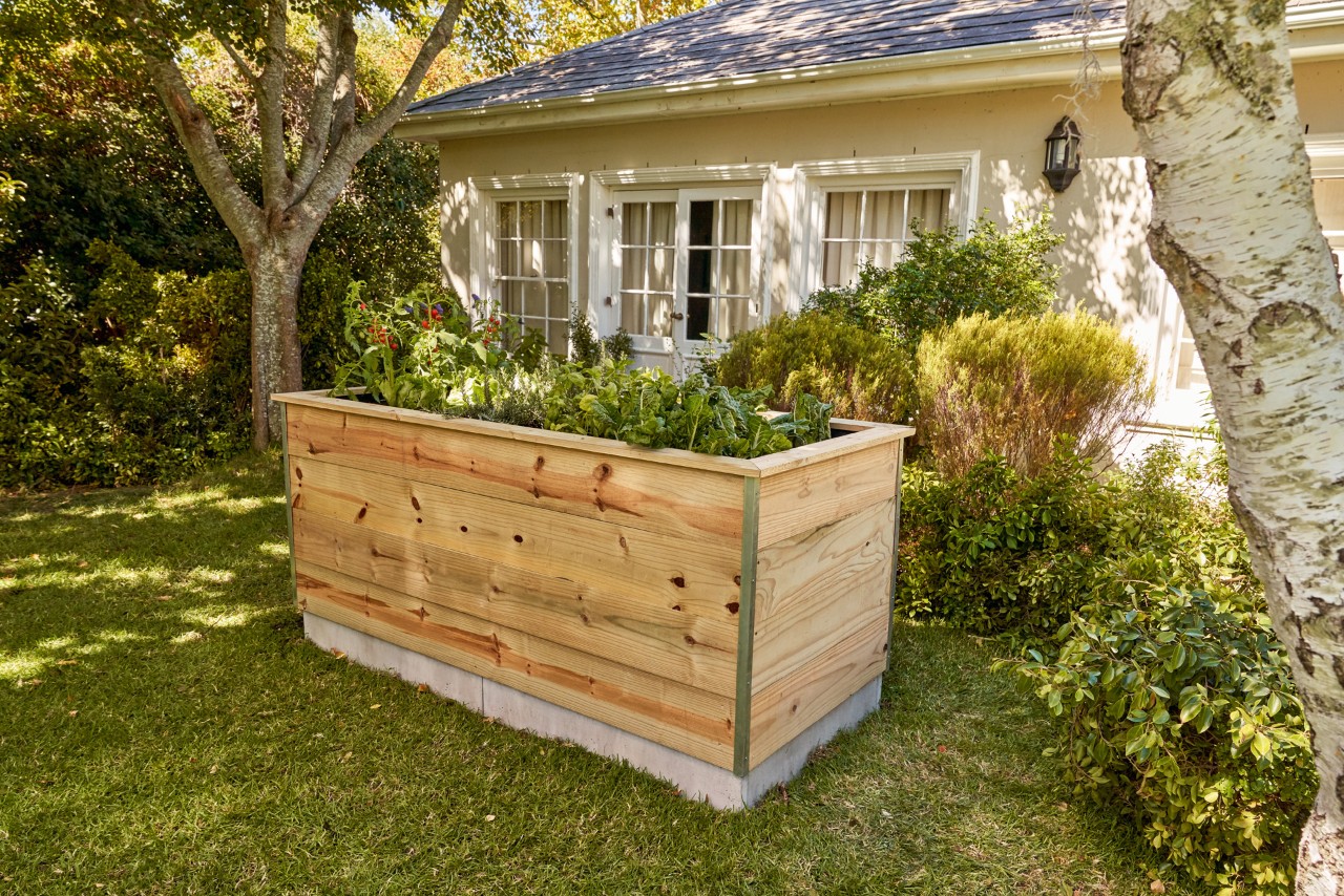 Planted DIY raised bed made of wooden boards stands in the garden in front of a house
