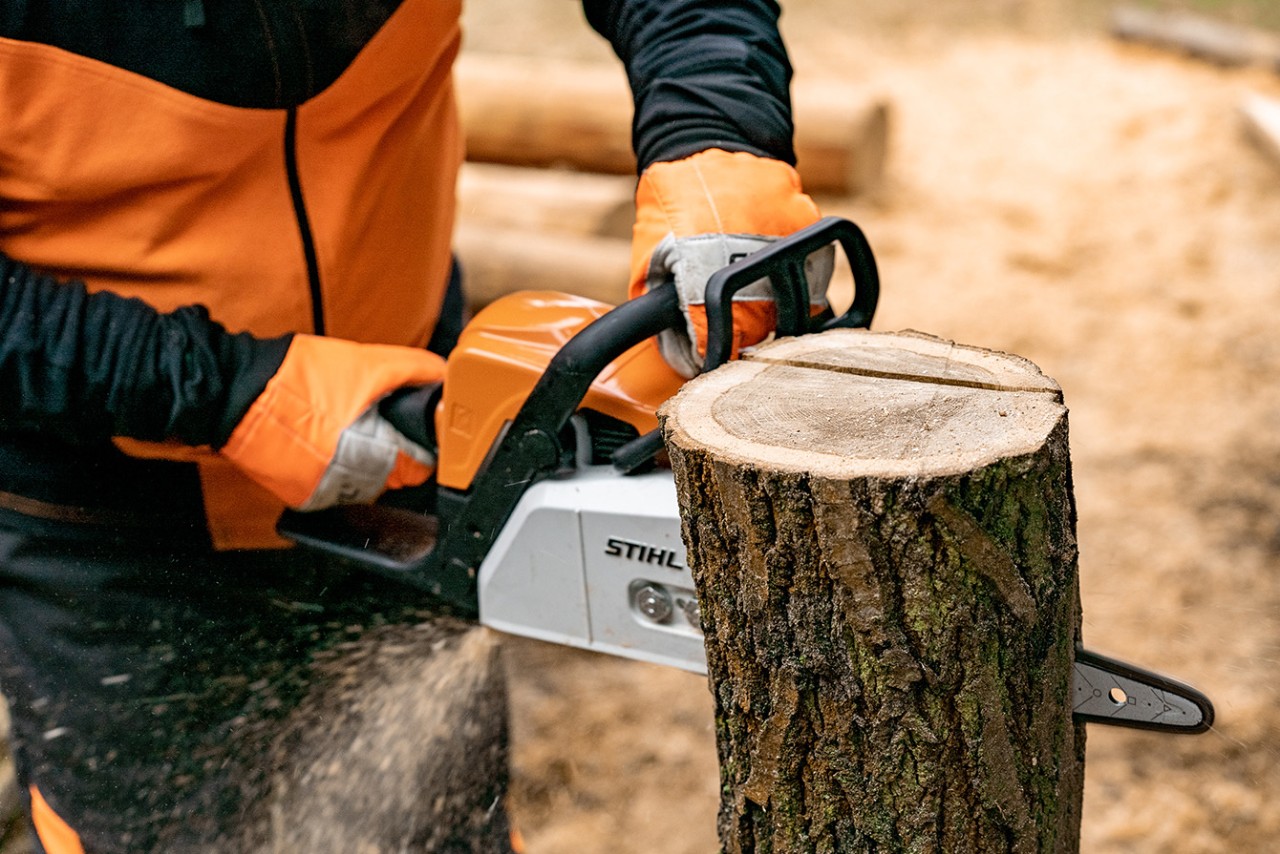 Make a heart ornament out of wood: a downward cut being made into an upright log with a STIHL MS 170 petrol chainsaw