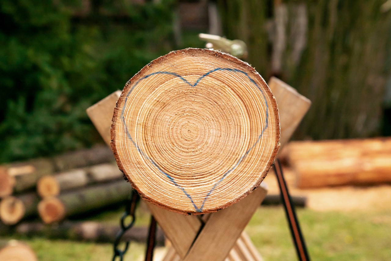 Make flat heart slices from a log: end face of a log with a heart drawn on