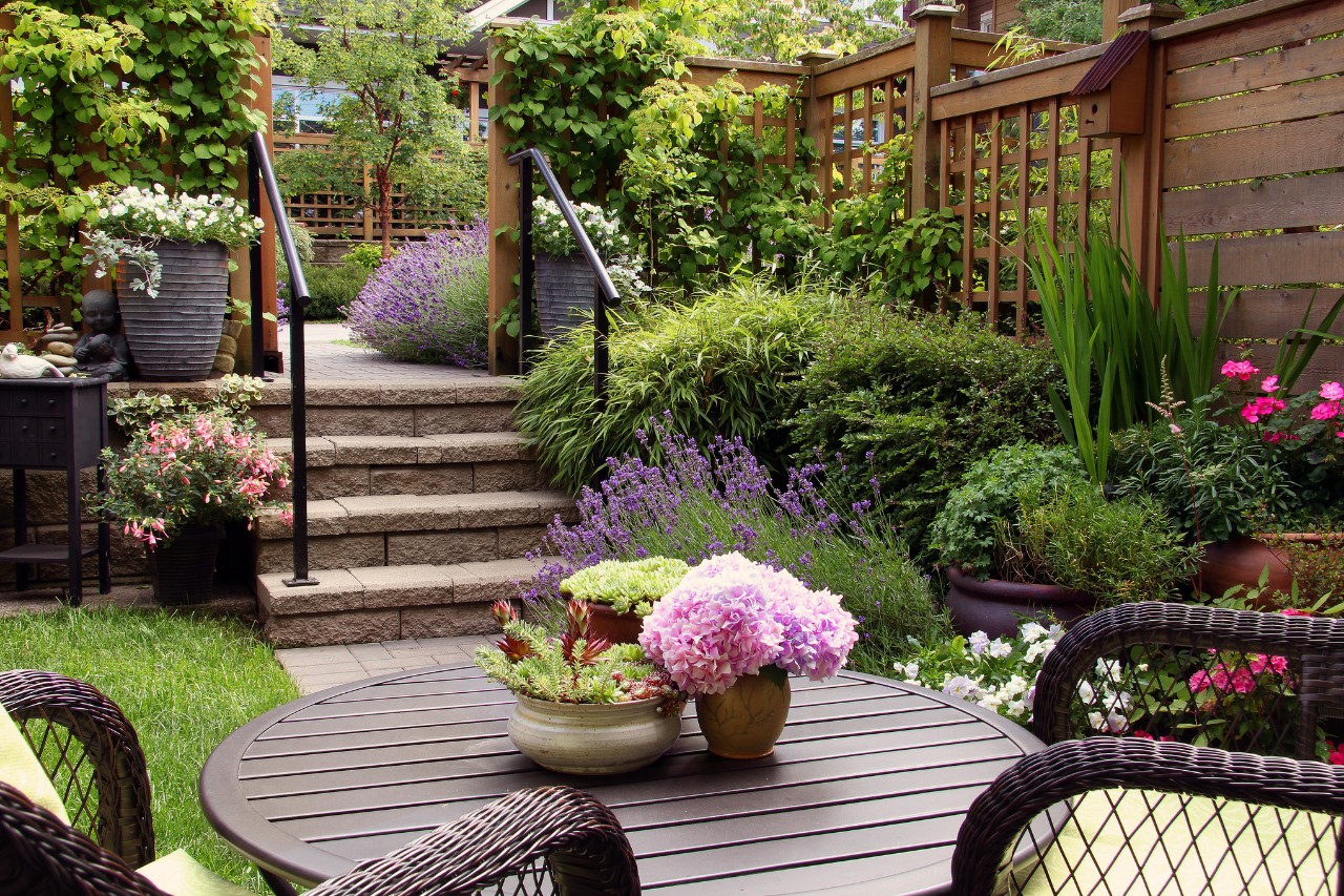 Small garden with wicker chairs, plant pots and a wooden privacy screen 