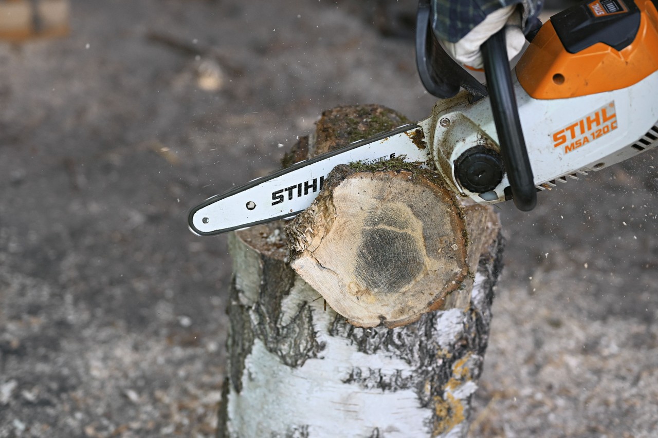 Close up of the STIHL MSA 120 cordless chainsaw cutting a section of trunk