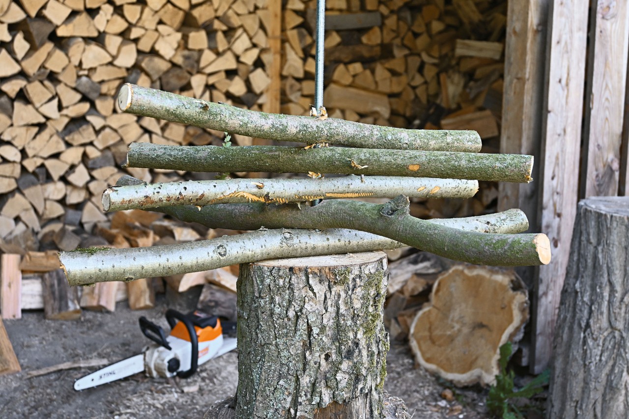 Threaded rod in the trunk section of a sustainable wooden Christmas tree with offset branches