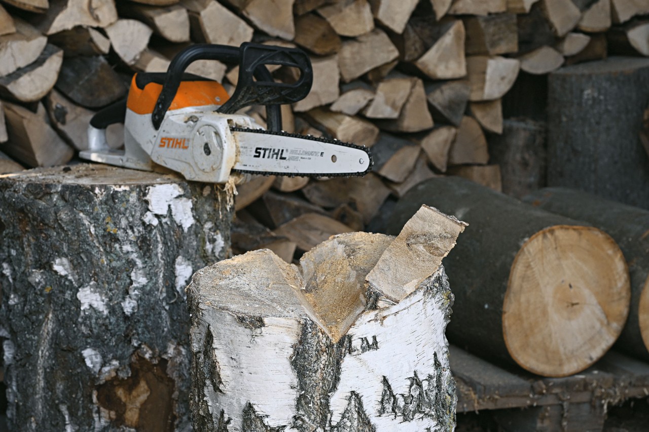 STIHL MSA 120 cordless chainsaw and a tree trunk with a notch sawn into it
