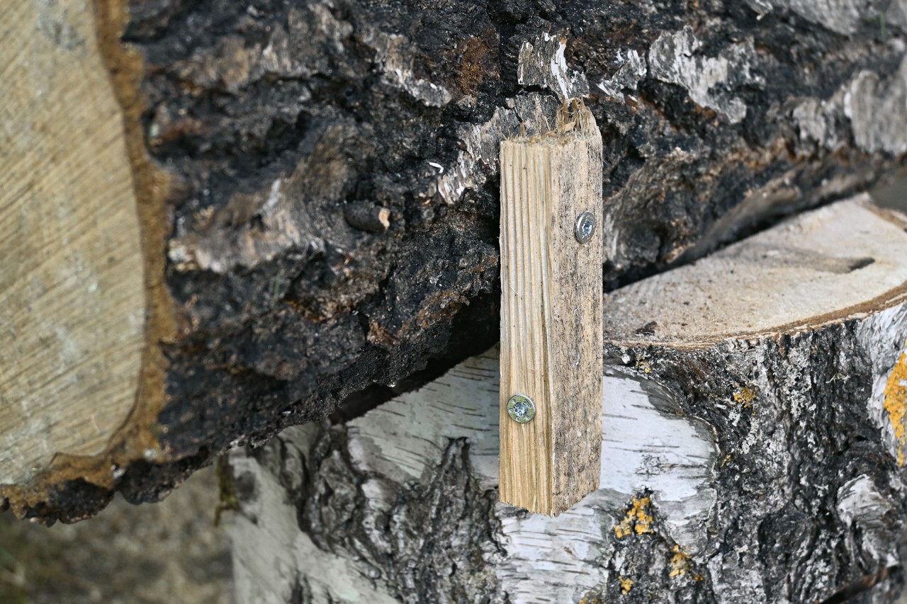 Section of wooden slat for securing the tree trunk piece