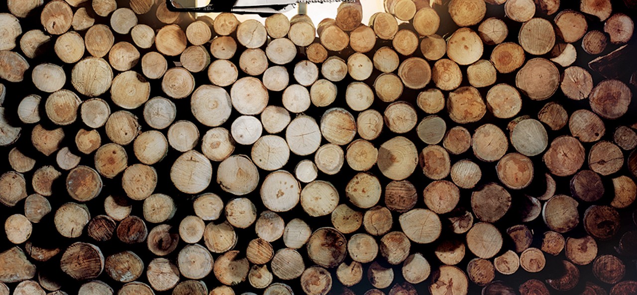 Stacked logs