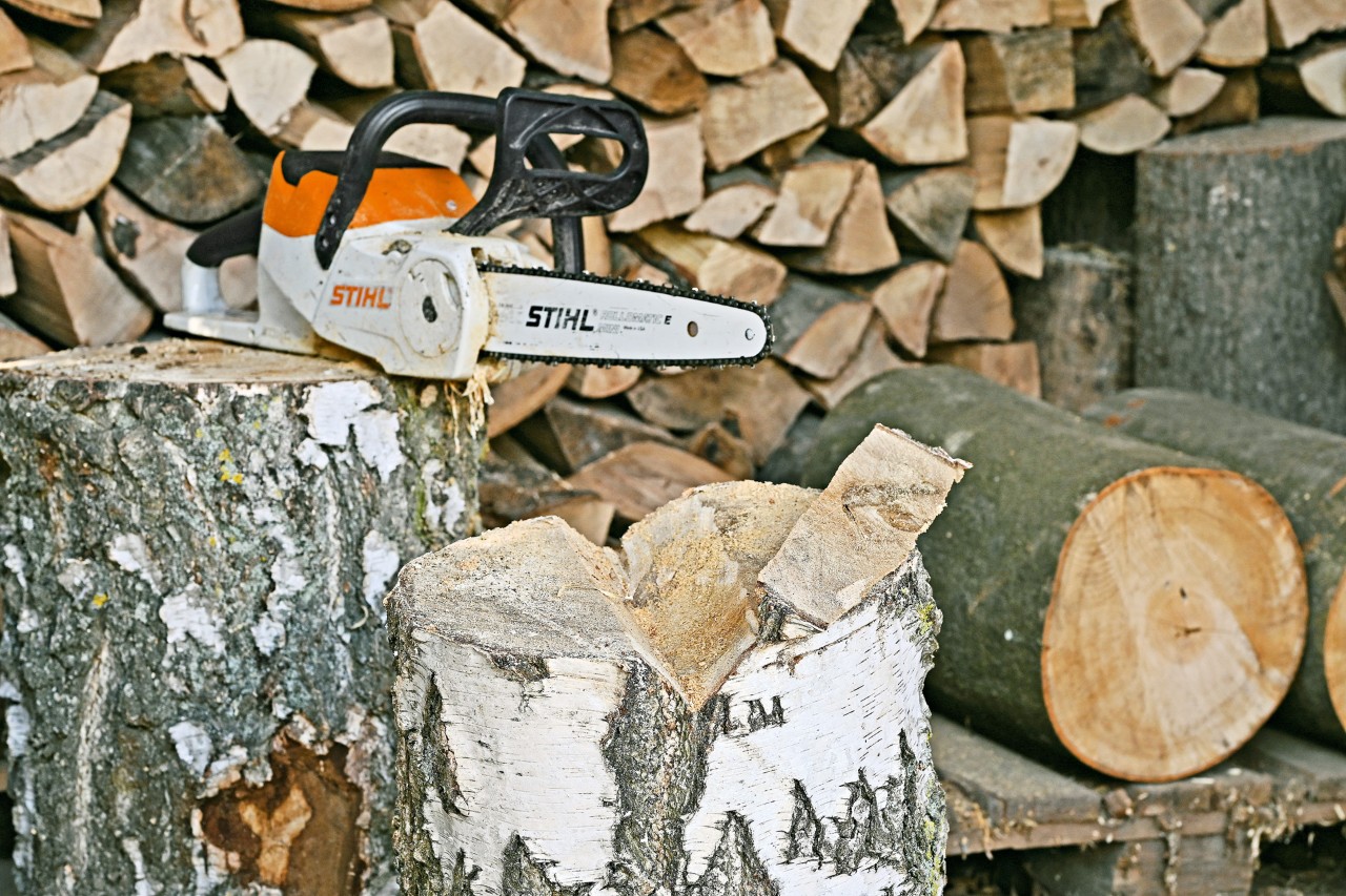A tree stump with a notch cut into it, and a STIHL MSA 140 C cordless chainsaw on a tree trunk behind it