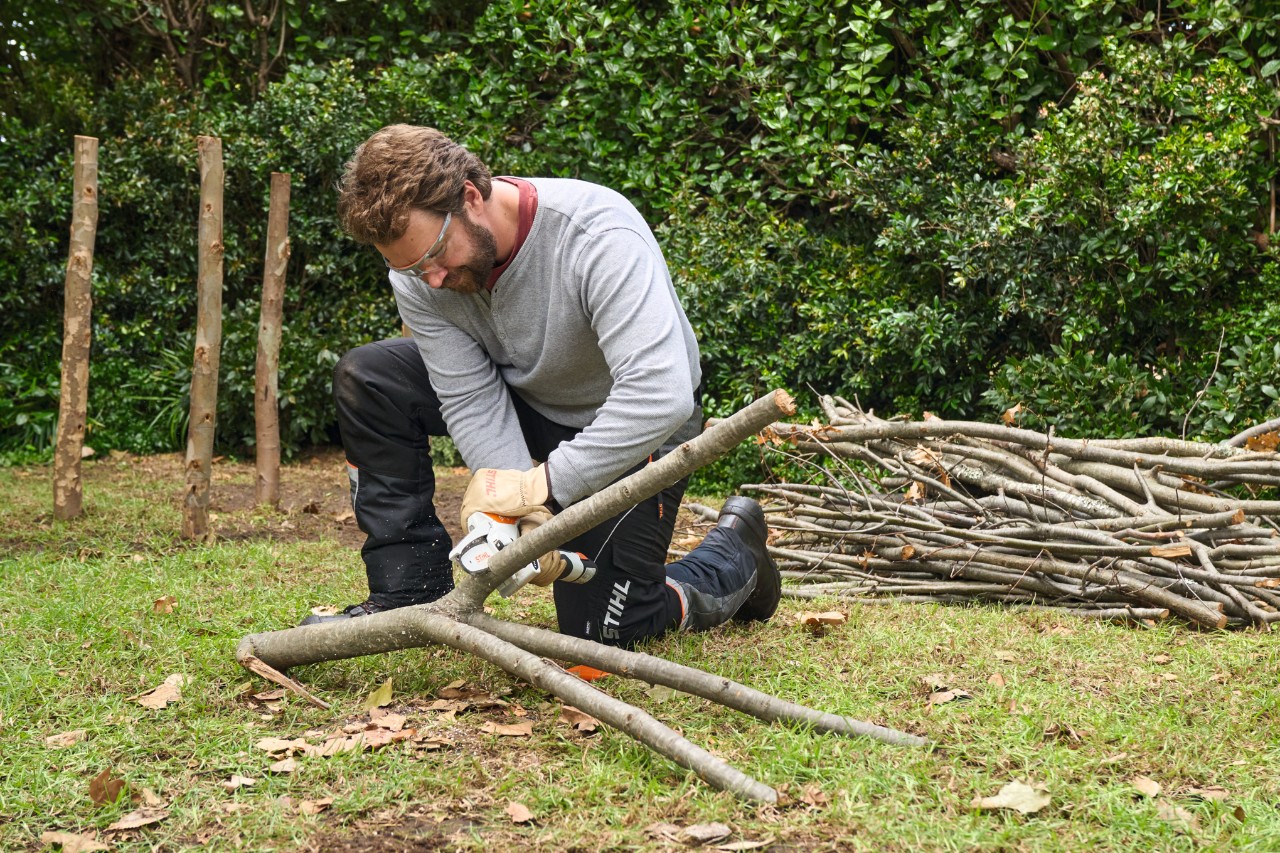 A man cuts bulky branches to the desired length with a STIHL GTA 26 garden pruner