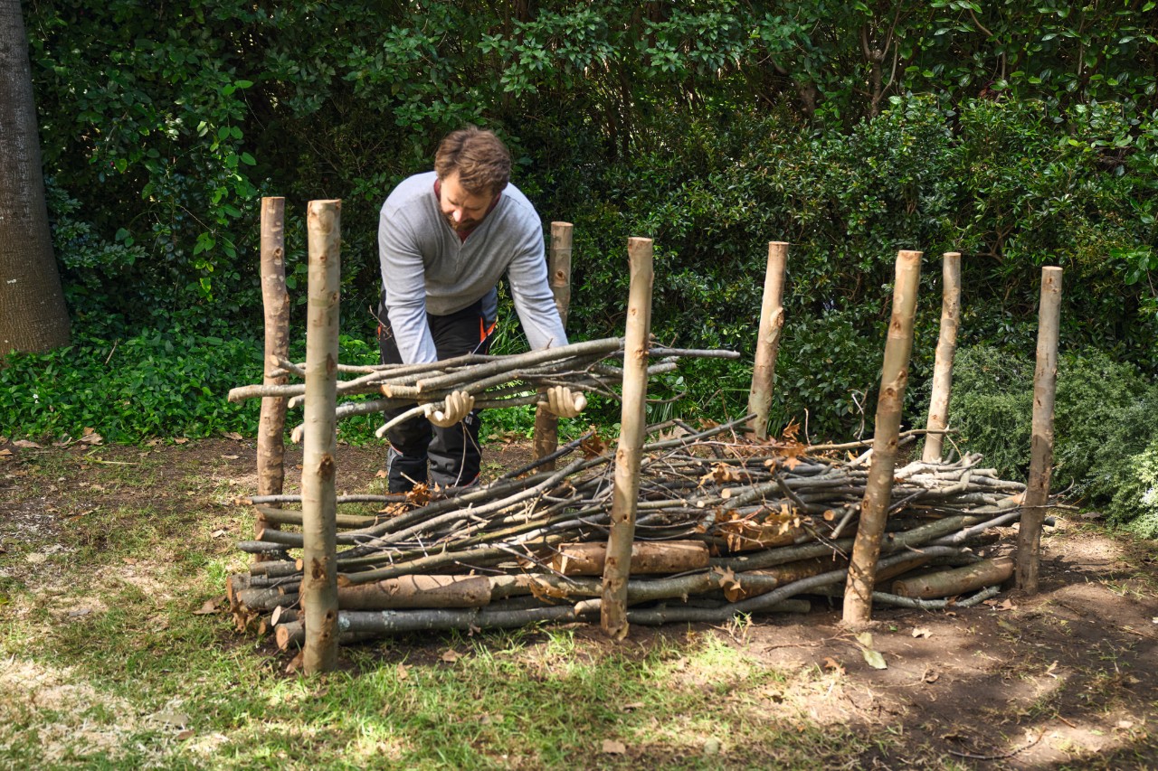 A man stacks collected branches in the dead hedge