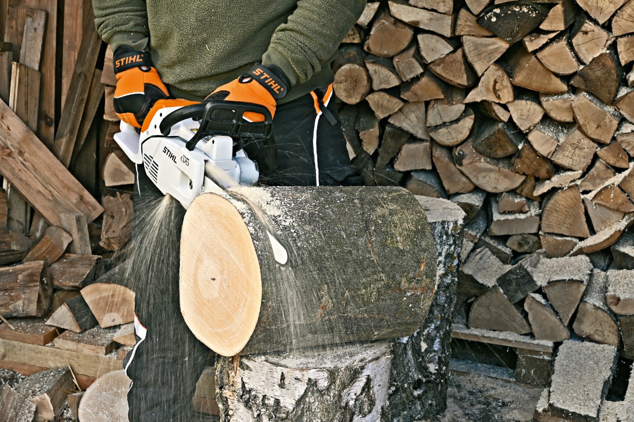 A STIHL MS 151 C electric chainsaw being used to cut a slice from a log to make a bug hotel