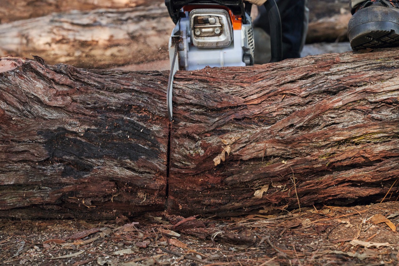 Firewood prep