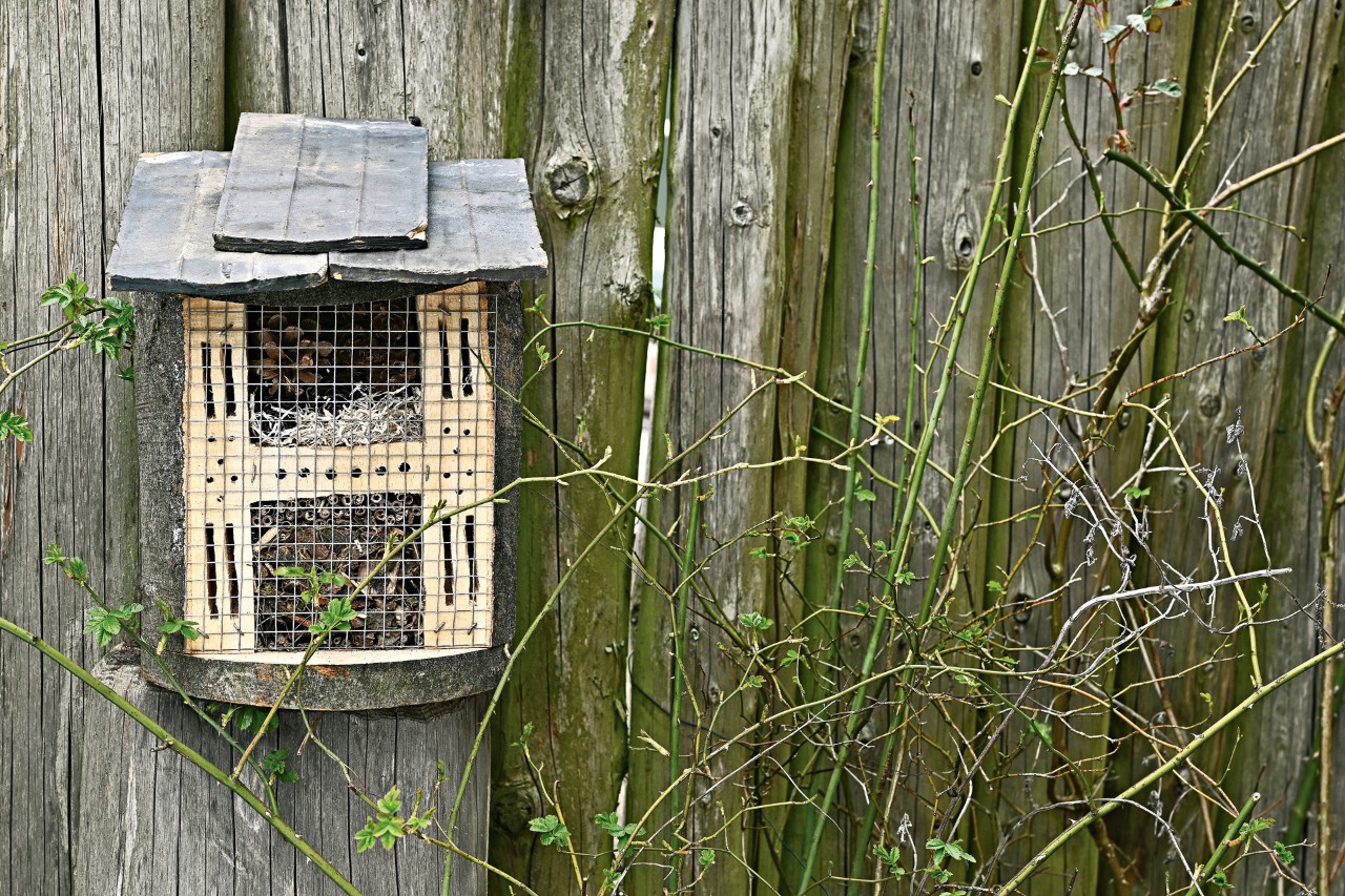 A home-made insect hotel in front of a wooden fence