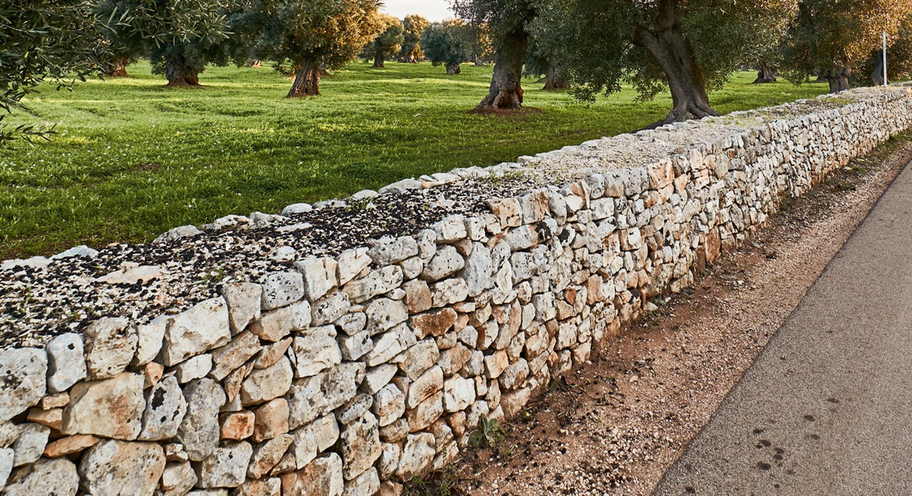A bee-friendly dry stone wall separates a road from parkland with trees.