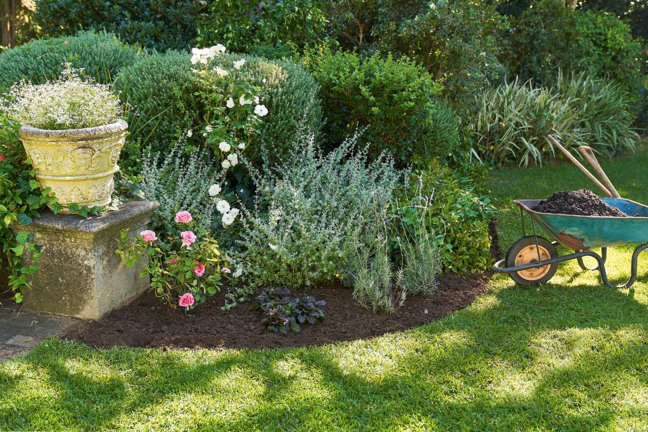 Bed with drought tolerant plants that need little water; next to it is a wheelbarrow with soil and garden tools