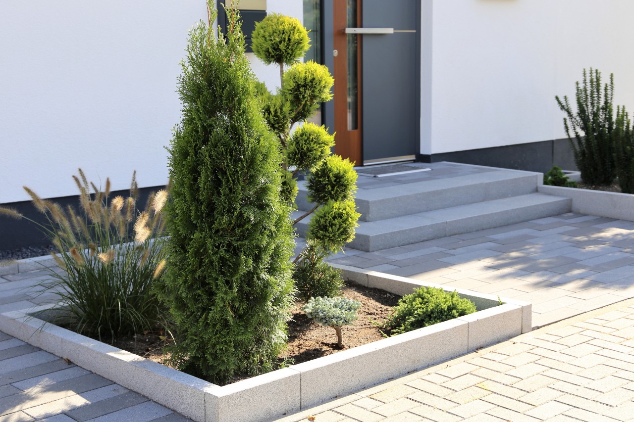 Attractively designed front garden bed bordered by concrete slabs 