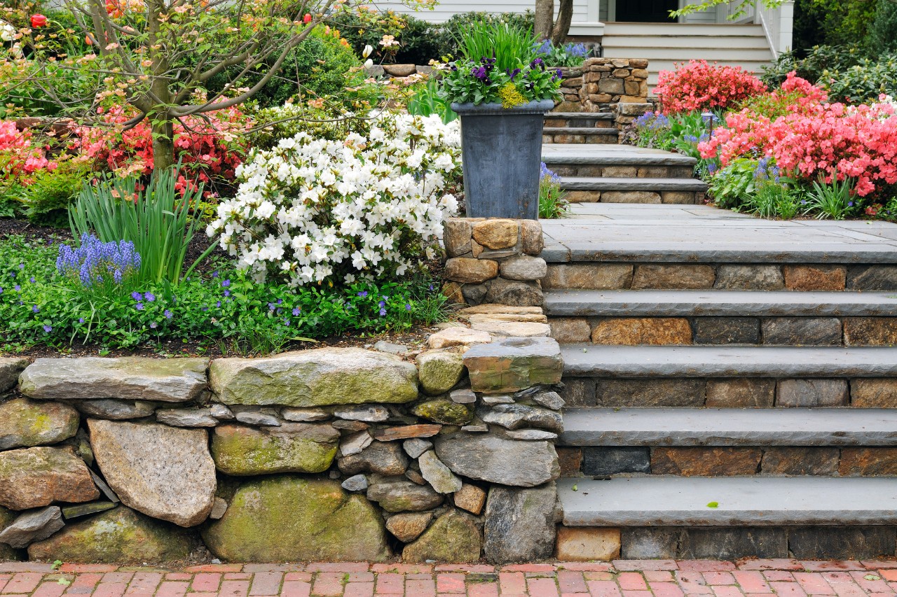 Stone steps surrounded by colourful flowerbeds as part of a front garden design