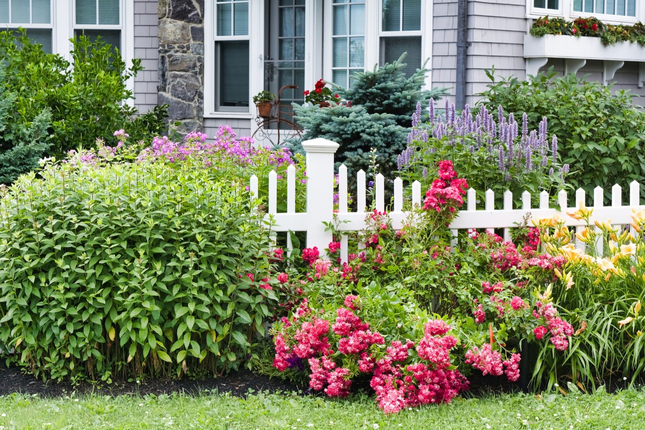 Romantic front garden design with white fence and roses