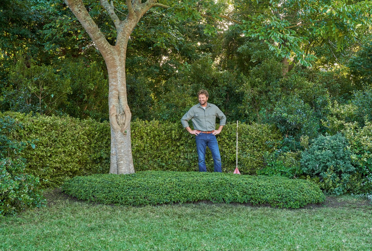 Ground cover adds appeal and personality to your garden