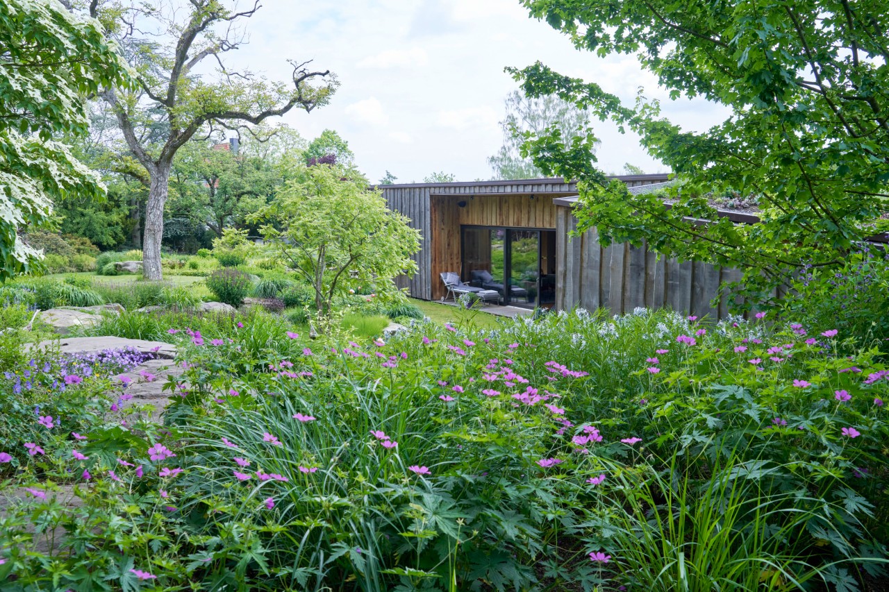 Sloping garden with geranium