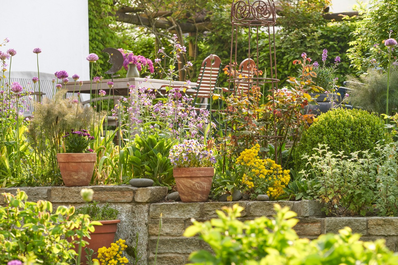 Springtime sloping garden with wall and flowerpots, and a garden table with chairs in the background 
