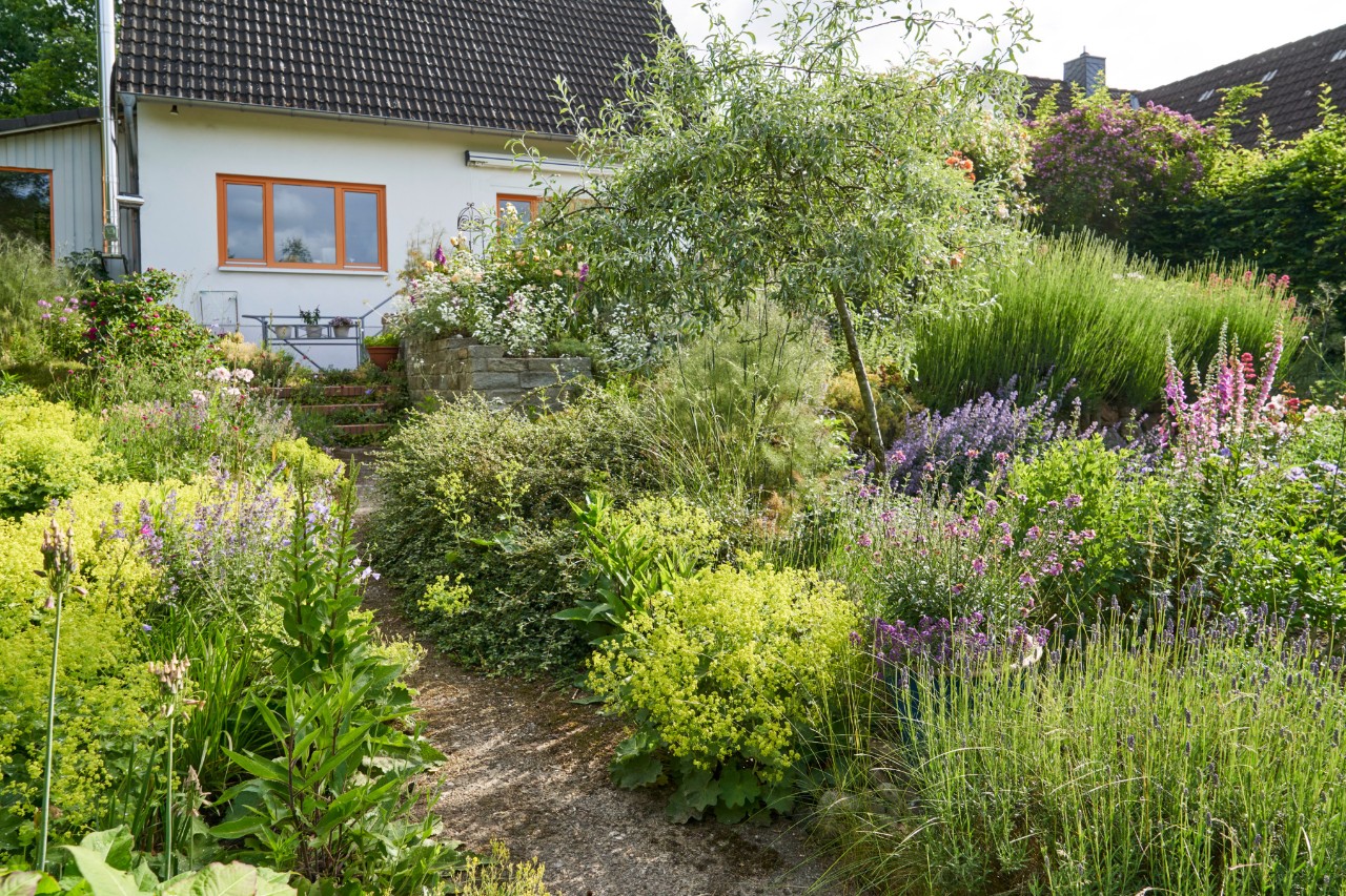 A garden with a path leading to a house