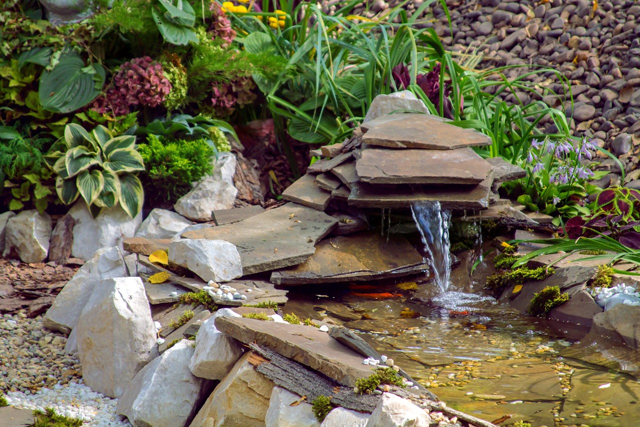 Watering hole made of stone slabs in a wildlife-friendly small garden, surrounded by ground cover and plants.