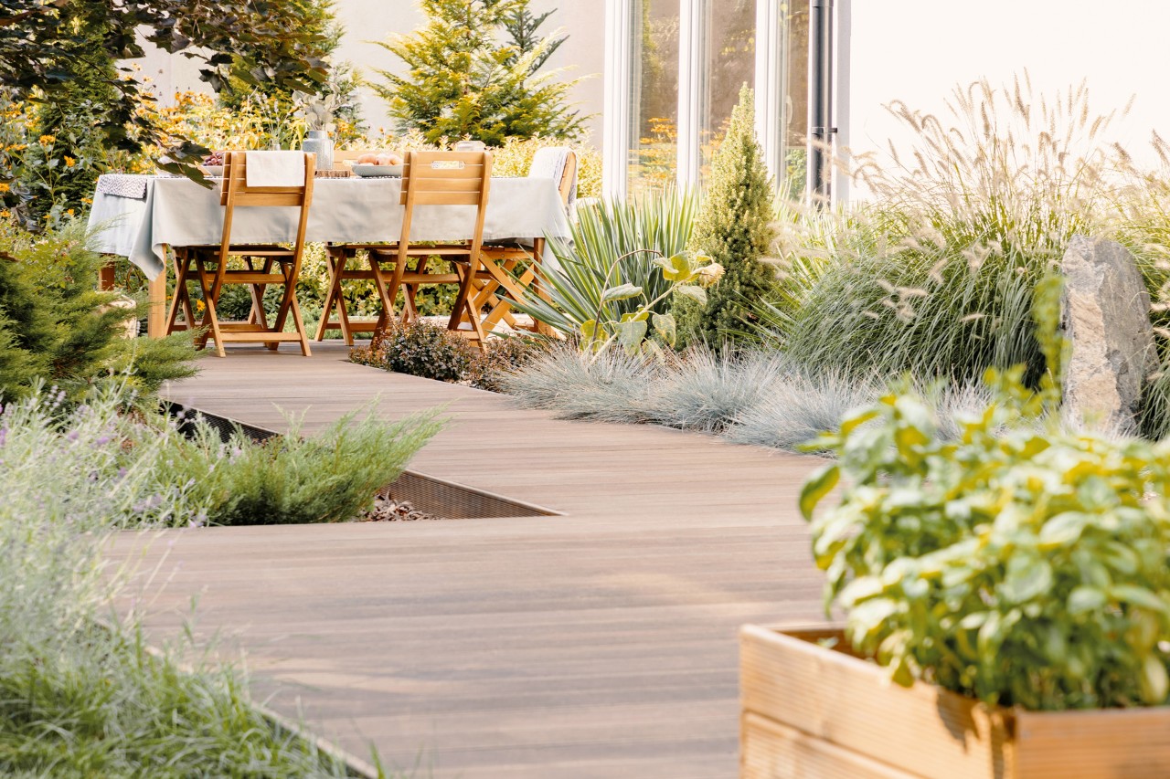 Small contemporary garden with wooden deck, reeds, garden furniture in the background beside window facade.