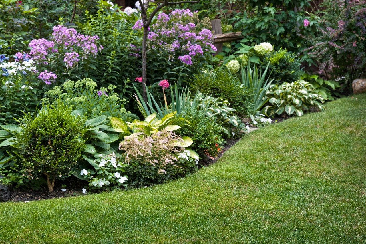 Curved, sloping lawn at the front, bordered by plant beds with shrubs, flowers, separated by English lawn edges.