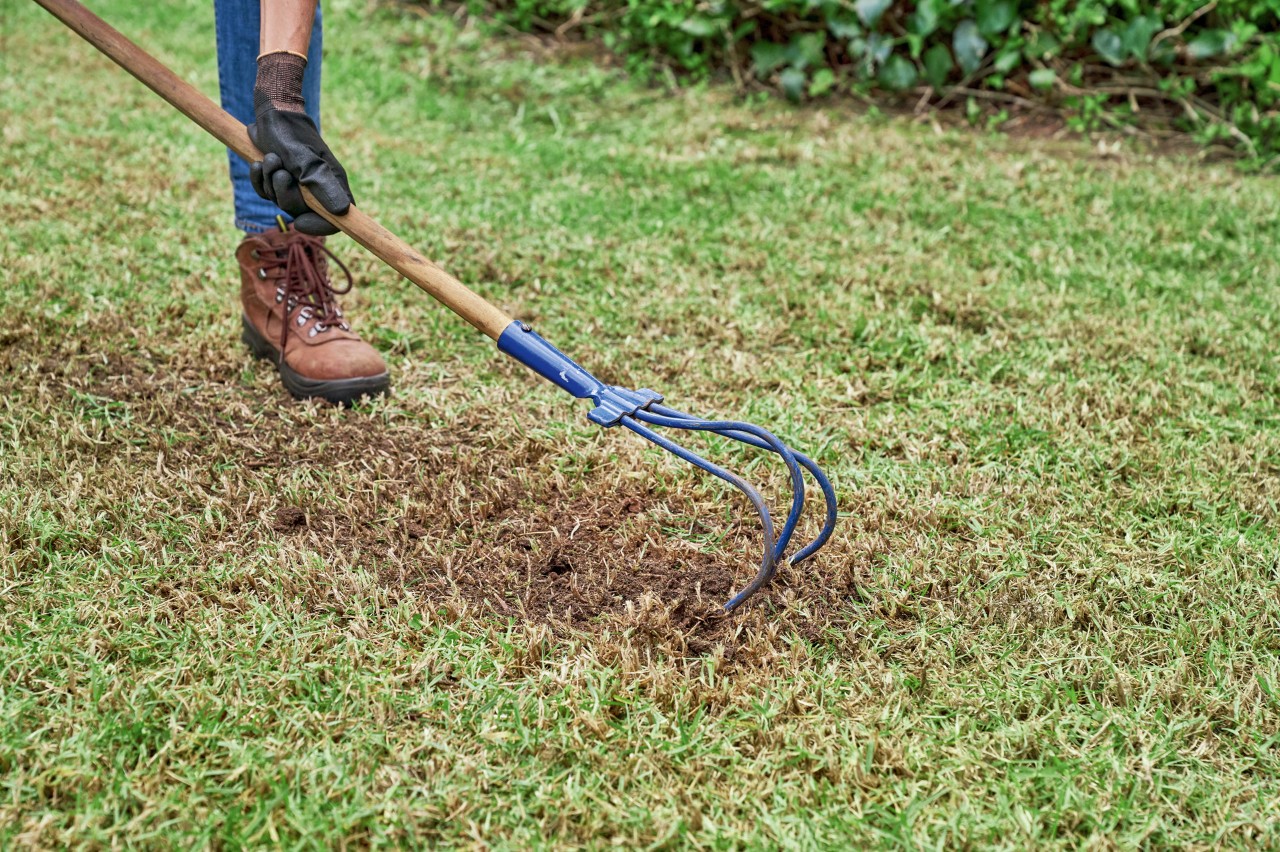 A person wearing gloves working grass-covered soil with a cultivator
