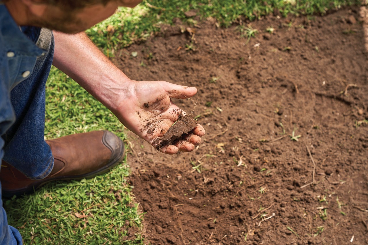 A man tests soil quality by making a sausage in his hand, with brown soil and grass in the background